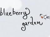 藍(lán)莓花園(Blueberry Garden)