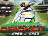 世界杯板球(World Cup Cricket)