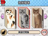 梦猫DS-中文版