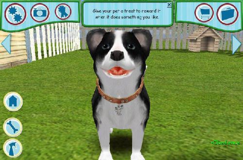宠物狗2006下载,宠物狗2006单机游戏下载图1