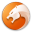 金山猎豹浏览器 v5.3.100.10287 官方安装版