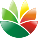 EximiousSoft Logo Designer(logo设计软件) v3.82 中文汉化版