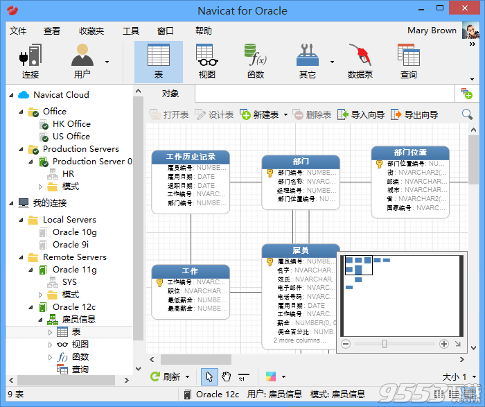 Navicat for Oracle 11 32位