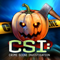 CSI:暗罪谜踪