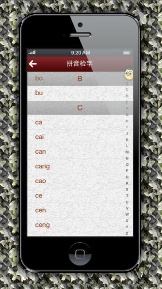 汉语字典手机版下载-汉语字典iPhone版v1.0.0苹果版图2