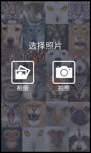 变脸相机app下载-变脸相机安卓版v3.2图4