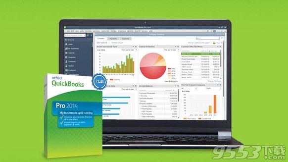 QuickBooks Pro for Mac 