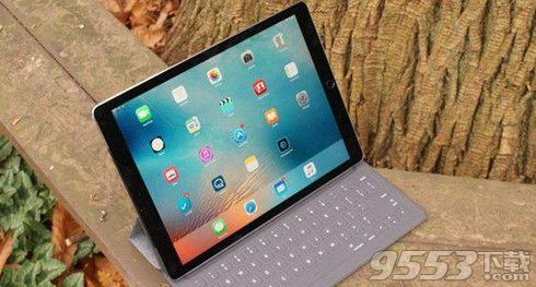 iPad pro黑屏死机怎么办？iPad pro黑屏死机解决方法