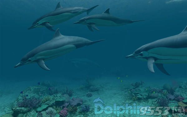 Dolphins 3D Mac版(海豚动态壁纸)|Dolphins 3D