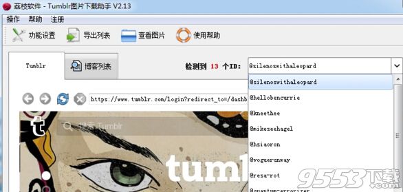 荔枝软件Tumblr图片下载助手