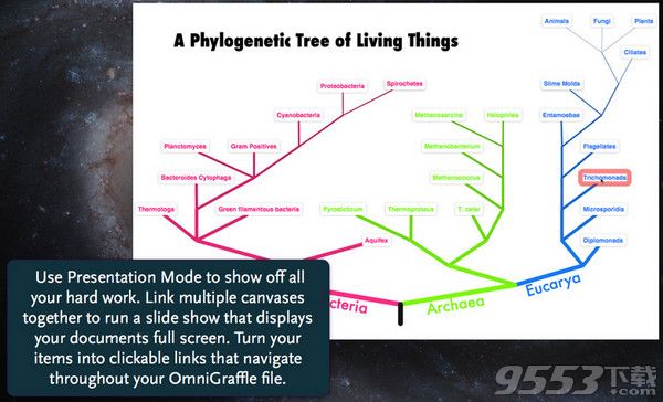 Omnigraffle pro for mac 