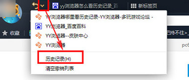 yy浏览器怎么查看历史记录？yy浏览器历史记录查看方法