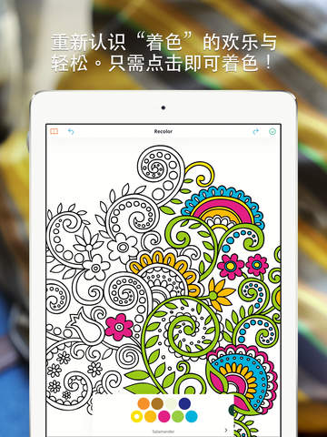 Recolor成年人的涂色书截图1