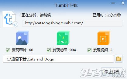 迅雷汤不热下载功能有什么用？迅雷tumblr下载功能使用方法