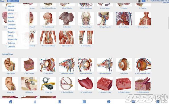 Human Anatomy Atlas for Mac 