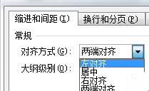 Word 2010排版时常用格式设置技巧