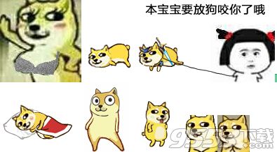 doge表情包