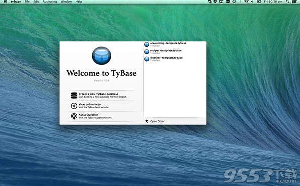 TyBase Mac版(数据库开发软件)