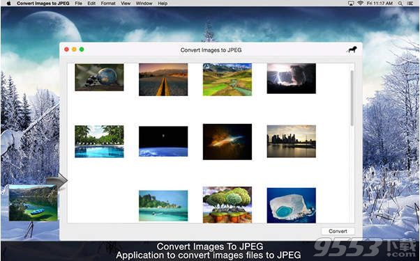 Convert Images to JPEG Mac版(图片格式转换工具)