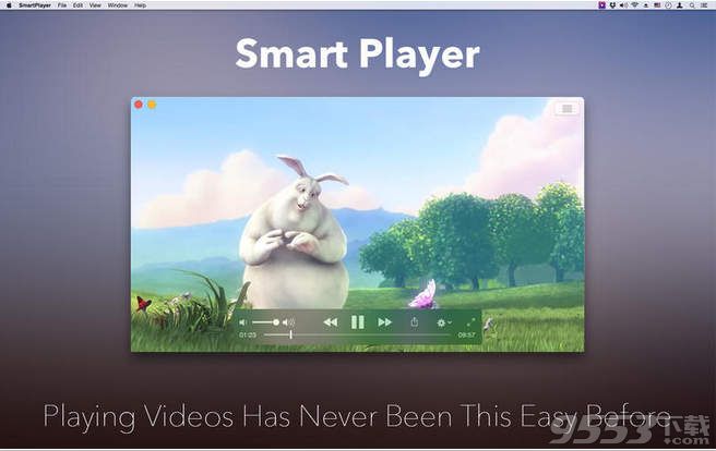 Smart Player(大华视频播放器)Mac版