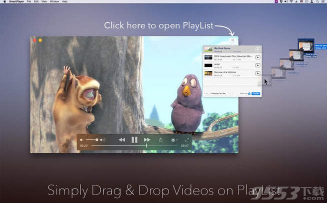 Smart Player(大华视频播放器)Mac版