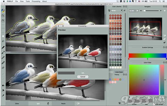 CODIJY Mac版(图像处理软件)