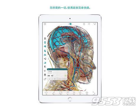 3D Anatomical Model of Human Body for mac