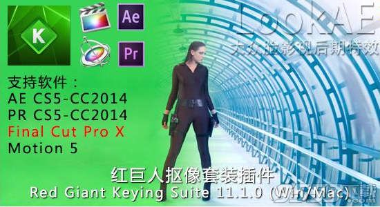 Red Giant Keying Suite For Mac(红巨星插件)