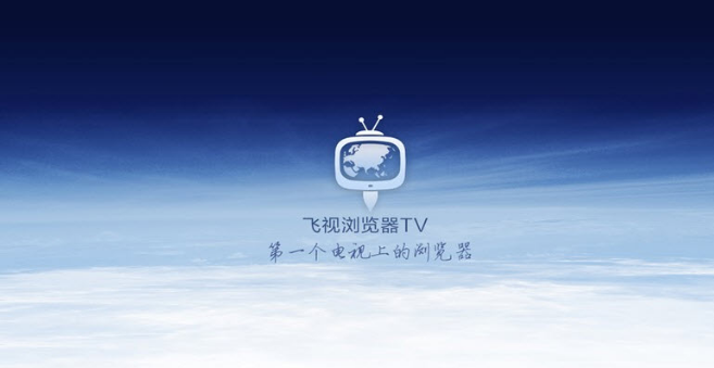 飞视浏览器tv版截图3