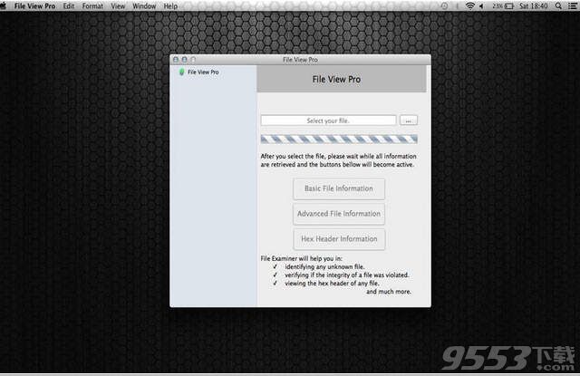 File View Pro for Mac(文件管理软件)