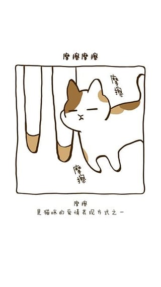 粘粘猫咖啡馆汉化版截图4