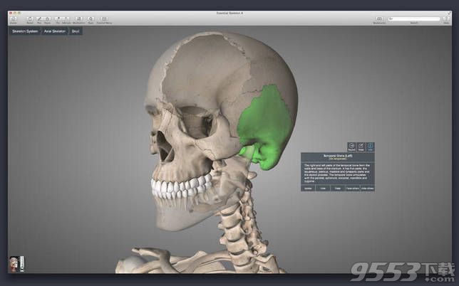Essential Skeleton mac(医学软件)