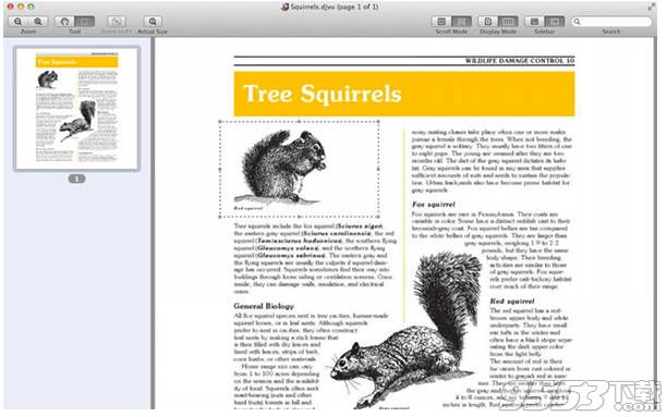 DjVuReader Mac版(djvu阅读器)