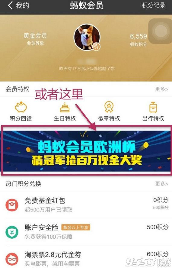 支付宝欧洲杯赢百万现金活动怎么参与？支付宝欧洲杯积分竞猜活动参与方法