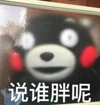 腿这么短还吃这么胖表情包