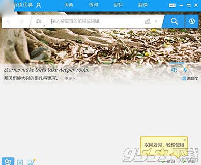 有道词典不能发声怎么办？有道词典不能发声解决方法