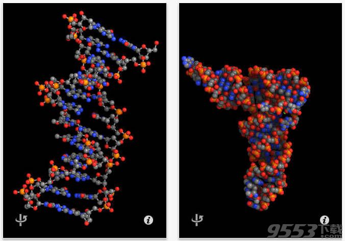 Molecules Mac版(化学分子结构软件)