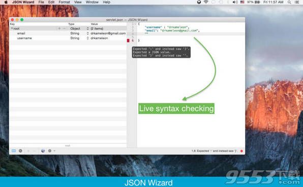 JSON Wizard Mac版(JSON编辑器)