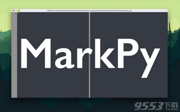 arkPy Mac版|MarkPy for Mac(python编程工具)