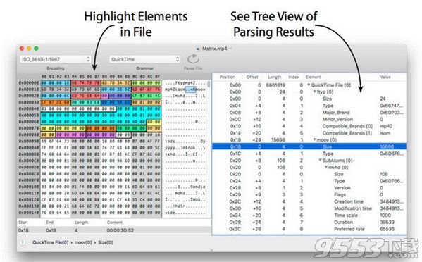 mac 二进制编辑器|Synalyze It Pro Mac版 v1.15