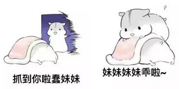 hamham倉鼠妹控表情包