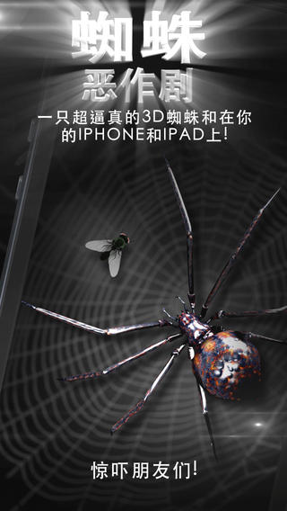 蜘蛛恶作剧简版iPhone版下载-蜘蛛恶作剧简版ios版下载v1.0图5