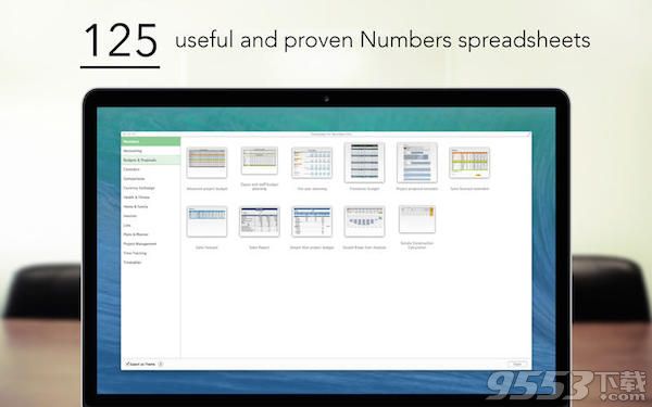 为专业Numbers模板Mac版