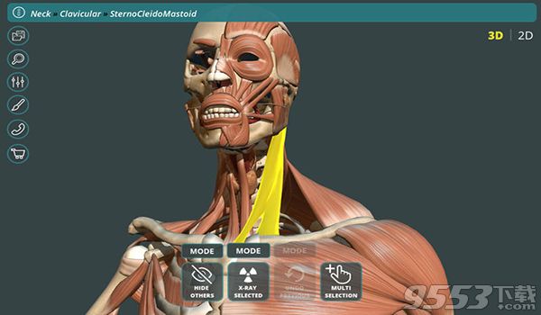 3D虚拟人体解剖