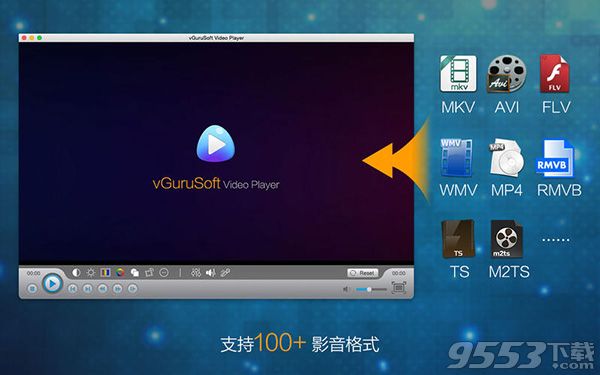 vGuruSoft播放器