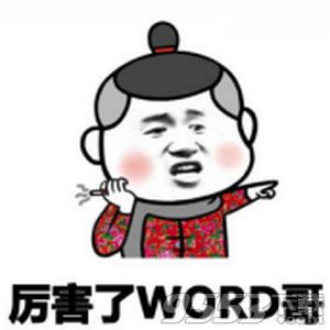 厉害了word哥表情包