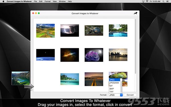 Convert Images to Whatever