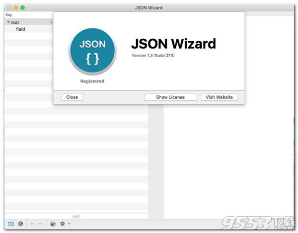 JSON Wizard for mac V1.3 破解版