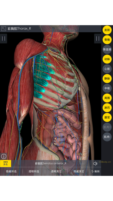 3dbody手机版下载-3dbody解剖软件安卓版下载v8.3.2图2
