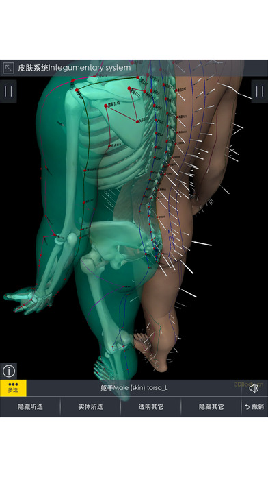 3dbody解剖软件截图4